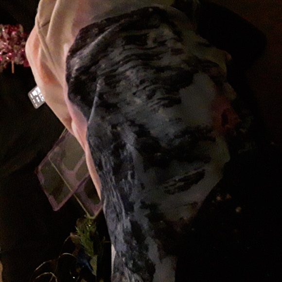 Justice - Picture 4 of 4